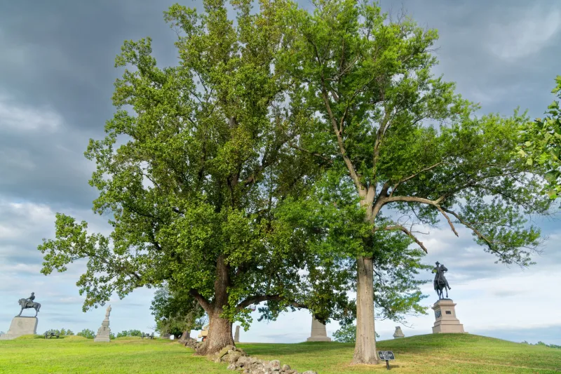 The Woman at the Cannon: Molly Pitcher's Enduring Legacy and What It Means for the Historically Minded Traveler