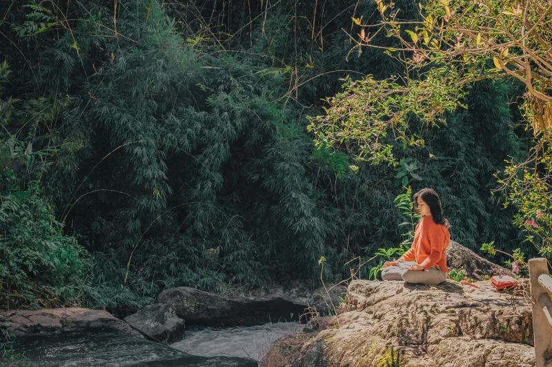 The Inward Journey: How Person-Centered Therapy Is Reshaping the Way Luxury Travelers Reconnect With Themselves